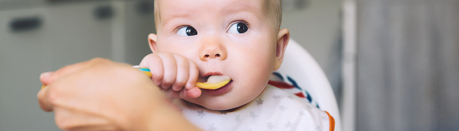 Heavy Metals in Baby Food - Experts Weighs In
