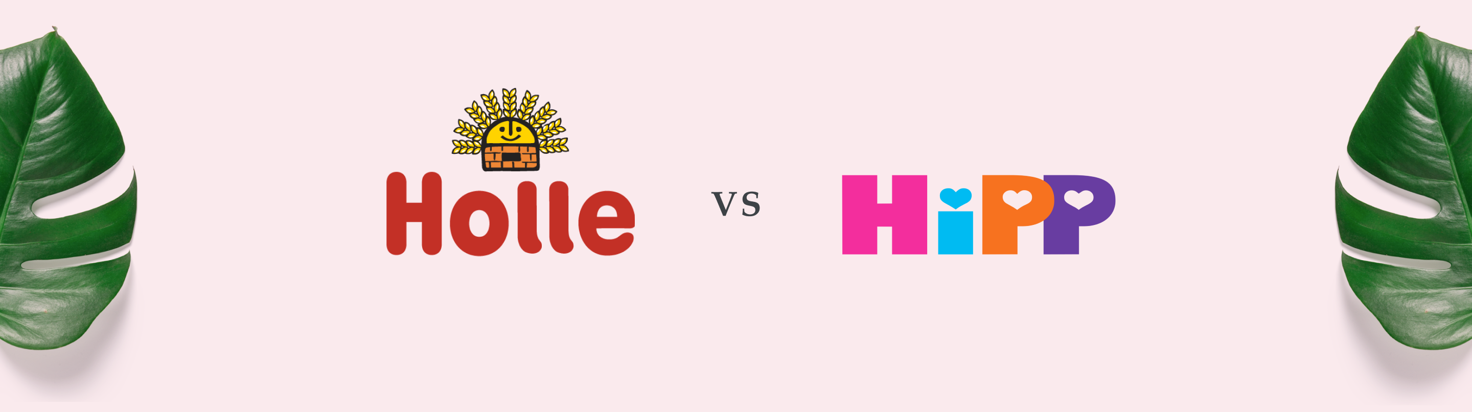 HiPP vs. Holle Formula The Ultimate Comparison Guide Little Bundle